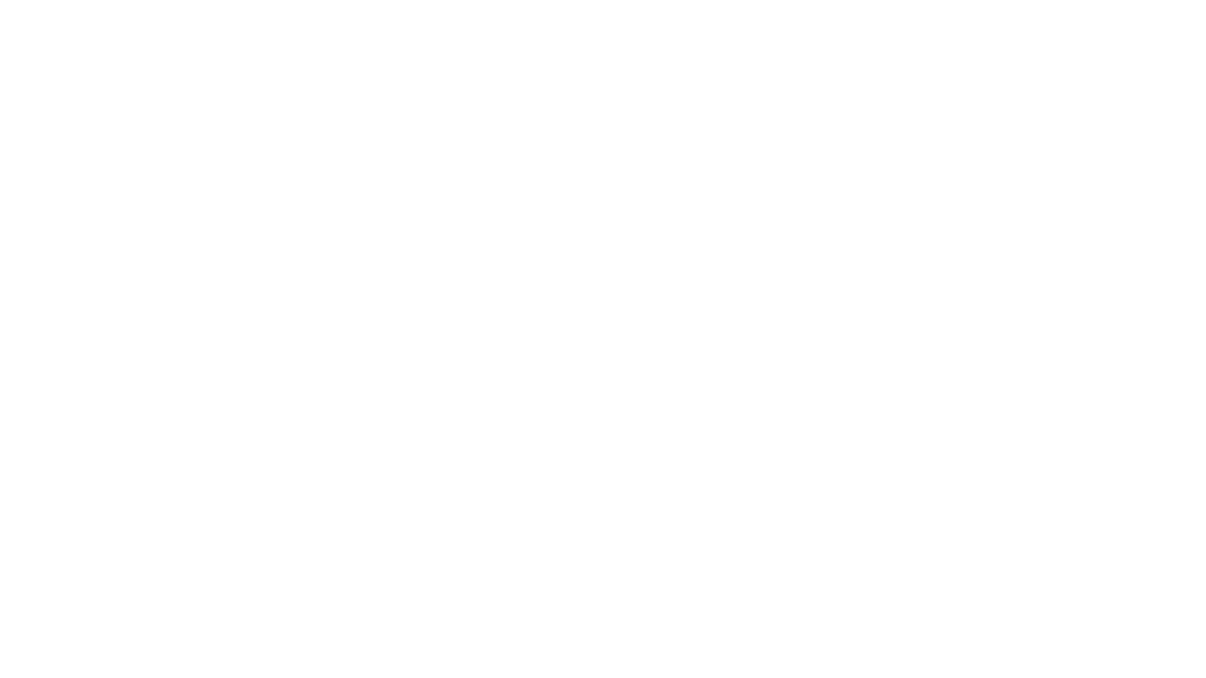 Logotipo Wonderful em branco